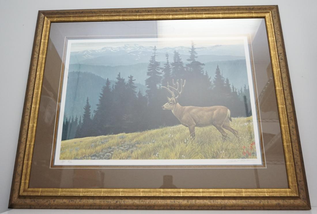 ROBERT BATEMAN ARTISTS PROOF: Robert Bateman (canadian b. 1930) Large Framed Limited Edition " Black-Tailed Deer in the Olympics" Artists Proof Print. Signed and Numbered AP 43/56 by the artist. Professionally framed and double ma