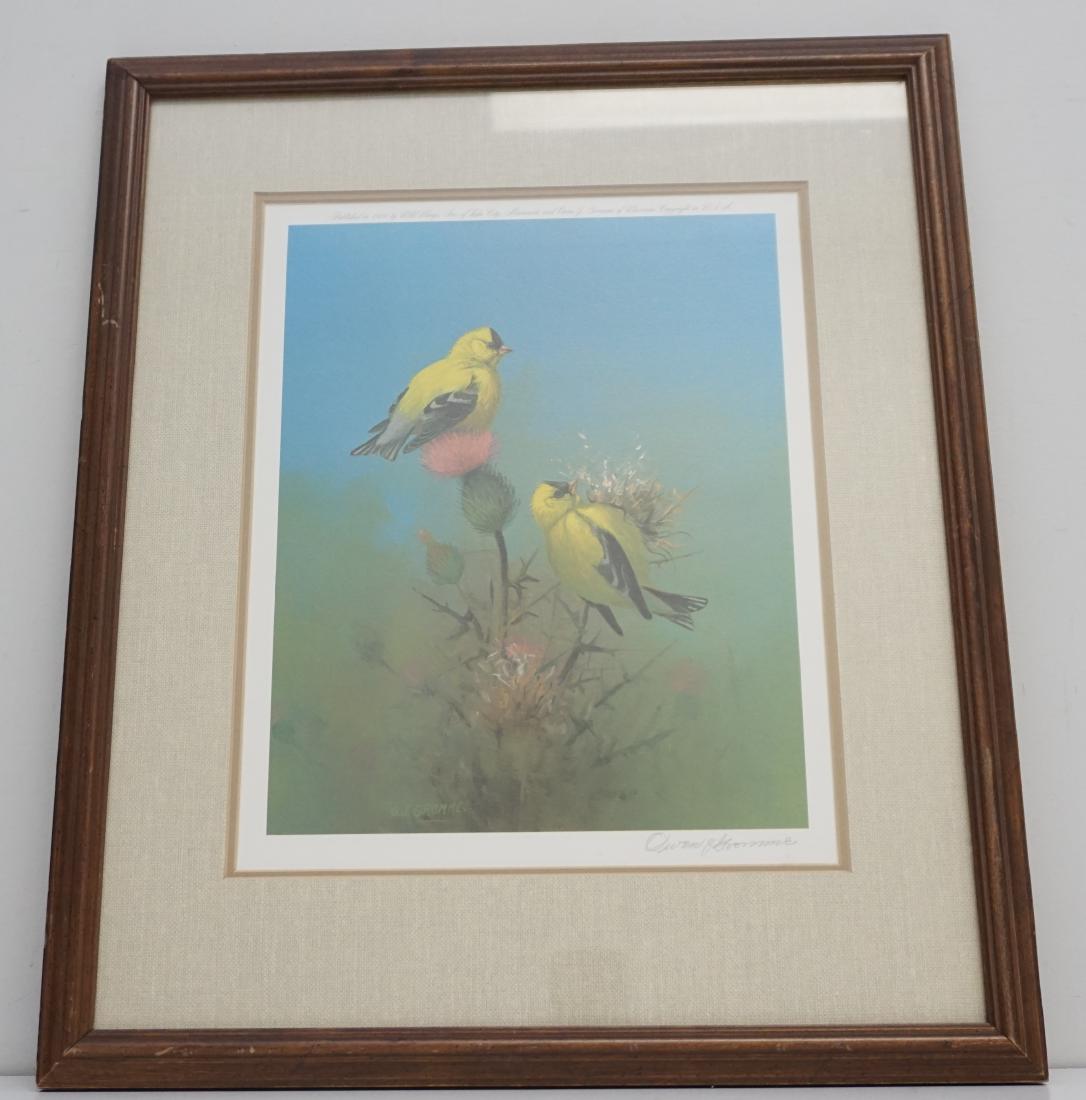 OWEN GROMME GOLDFINCHES SIGNED: Vintage Owen J Gromme Hand Signed Print Goldfinches. Signed in pencil by the artist, published in 1978. professionally framed and matted. Measures 18"x21 1/2"x1". Weight 3 pds. PROVENANCE: A Private C