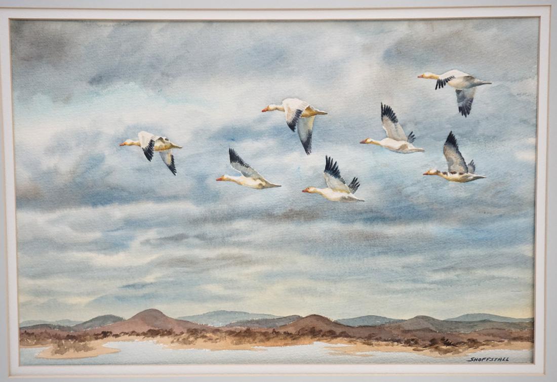 DON 'DOC' SHOFFSTALL WATERCOLOR: Vintage Flock of Geese in Flight Watercolor by American Wildlife Artist and Veterinarian Don "Doc" Shoffstall (1922-1981). Image 14"x21". With Mat 21"x28".Weight 2 pds. PROVENANCE: From the Estate of 