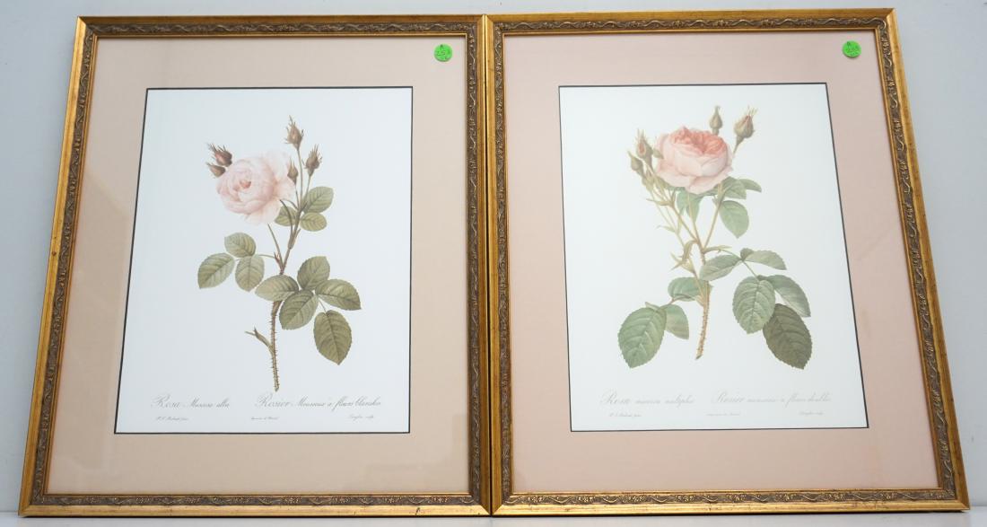 2 PIERRE J. REDOUTE FRAMED PRINTS (1 of 8)