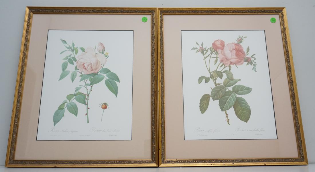 2 PIERRE J. REDOUTE FRAMED PRINTS (1 of 8)
