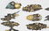 14 ANTIQUE BRONZE GILT JAPANESE MENUKI - 2