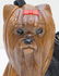 TIMMY WOODS HAND CARVED YORKSHIRE / YORKIE TERRIER BAG - 3