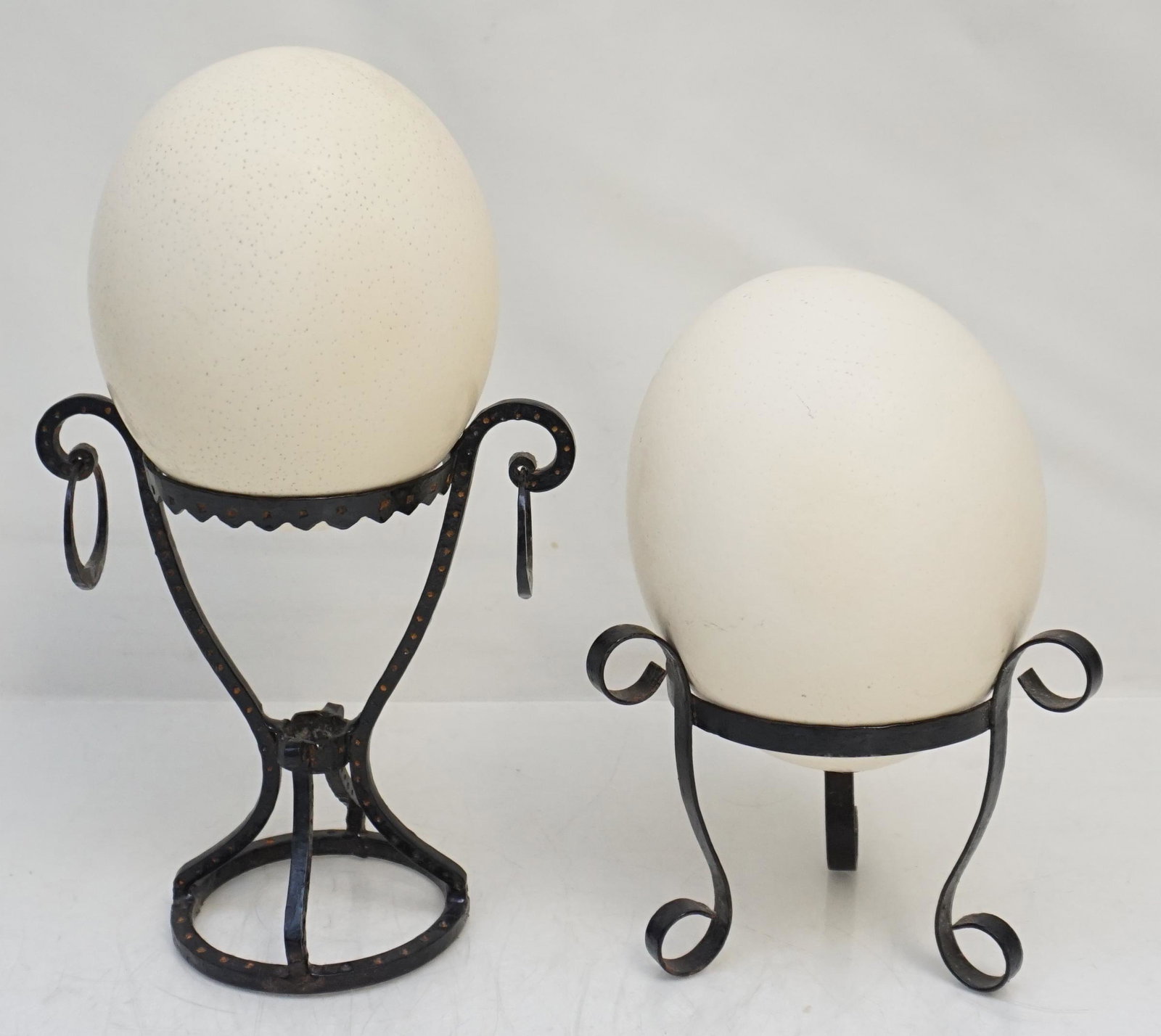 PAIR OSTRICH EGGS ON STANDS: Pair of Elegant Ostrich Eggs on Iron Stands. One measures 9" the other 11 1/2". Weight combined 2 pds 4 oz. PROVENANCE: The Estate of Dr. Fraser Wilson, Charleston SC. Dr. Wilson will be remembered fo