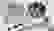 item-78303450=2