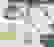 item-81538851=4