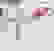 item-81538892=4