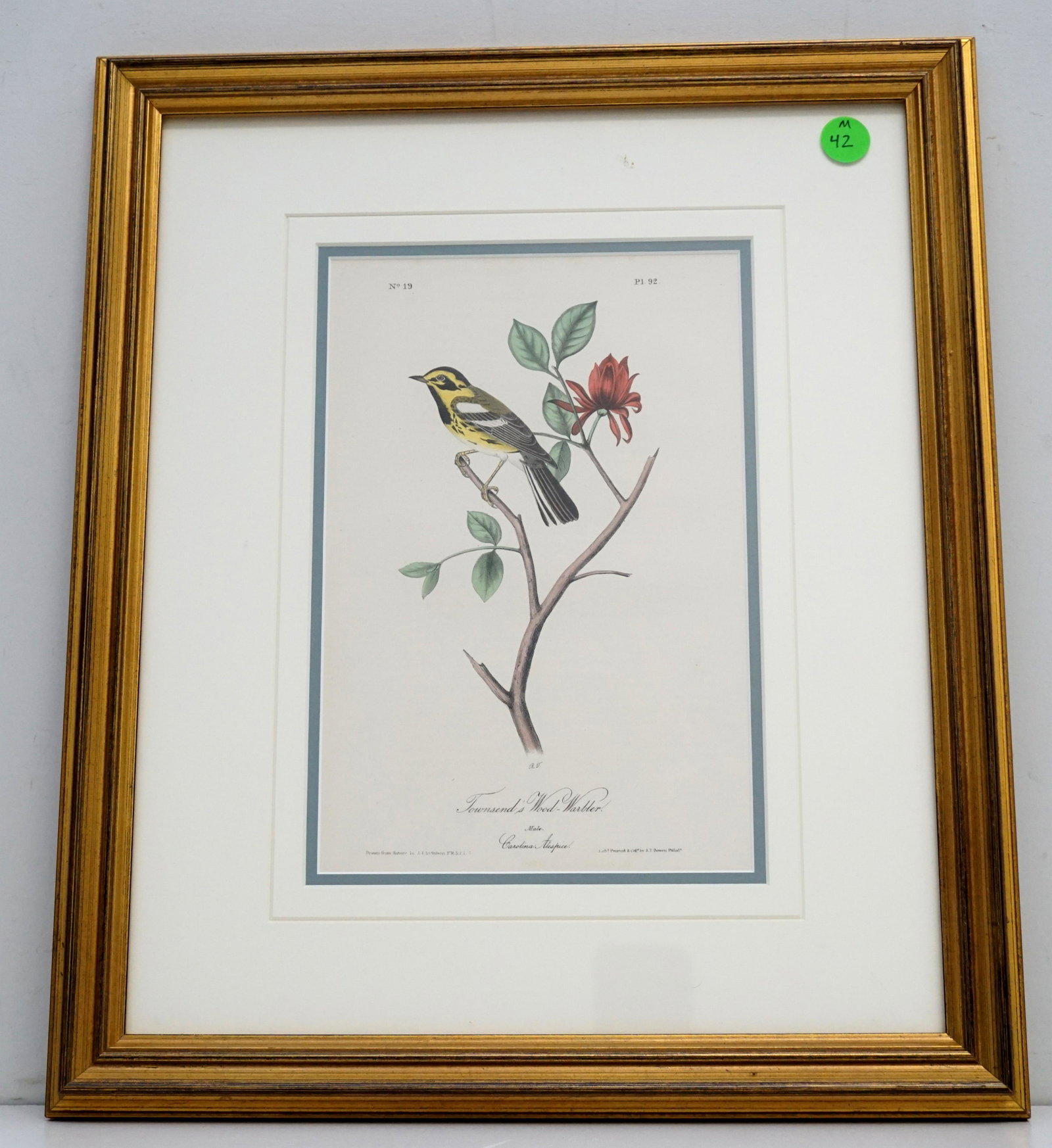 AUDUBON WARBLER BOWEN OCTAVO: John James Audubon (American, 1785-1851), "Townsend's Wood Warbler", No. 19, Plate 92, hand-colored lithograph by J.T. Bowen, from The Birds of America, octavo edition, framed.. Purchased at the Audub