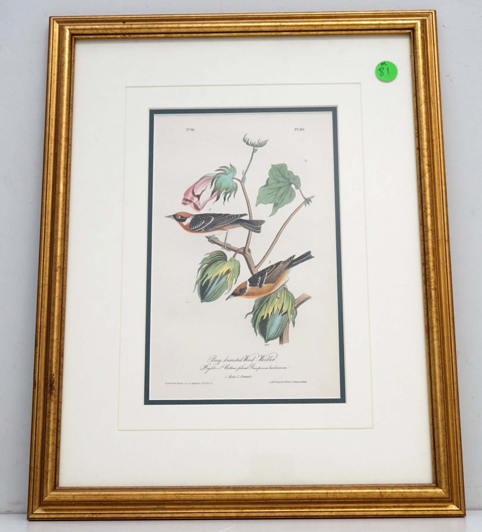 AUDUBON WARBLER BOWEN OCTAVO: John James Audubon (American, 1785-1851), "Bay Breasted Wood Warbler", No. 16, Plate 80, hand-colored lithograph by J.T. Bowen, from The Birds of America, octavo edition, framed.. Purchased at the Aud