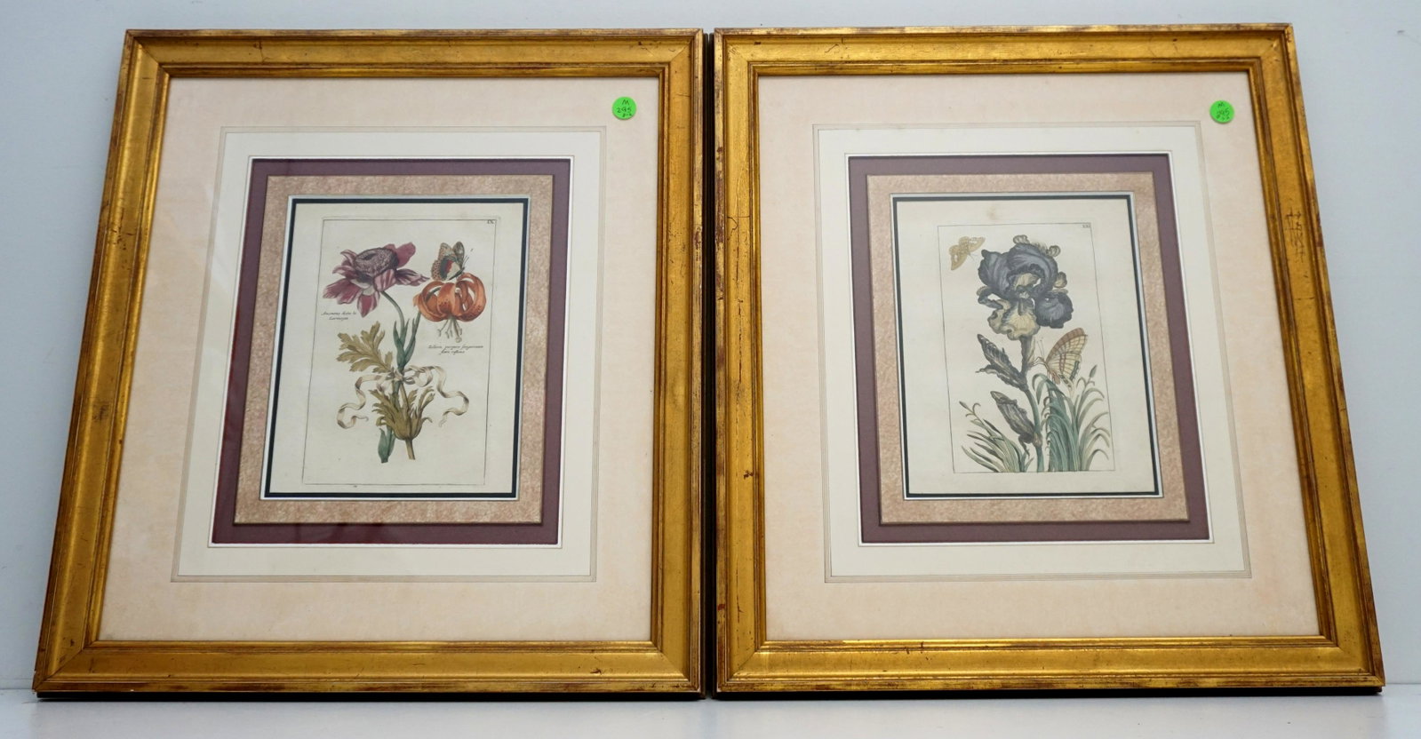 PAIR ANTIQUE HAND COLORED BOTANICAL ENGRAVINGS: Pair of Antique Hand Colored Botanical Engraving. Professionally framed In Matching Frames and Mats. Each 18 1/2"x21"x1" in frames. Weight combined 10 pds. PROVENANCE: Gippy Plantation, Berkeley Count