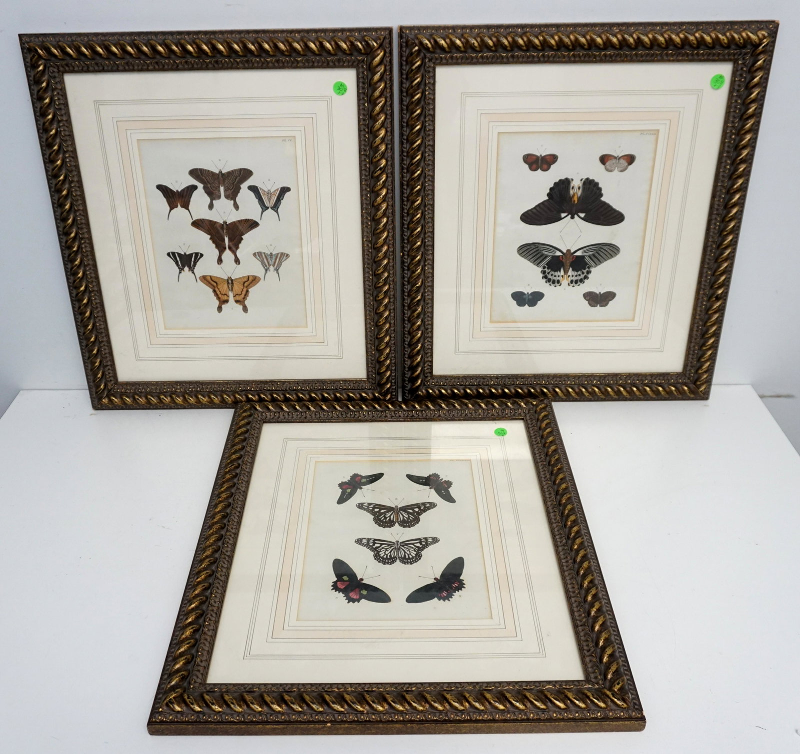 3 CRAMER HAND COLORED BUTTERFLY ENGRAVINGS: Three Antique c. 1790s Hand Colored Engravings by Pierre Cramer. All in matching frames with mats. Each19 1/2"x22 1/2"x 1 1/4". Weight on all combined 18 pds. PROVENANCE: Gippy Plantation, Berkeley Co