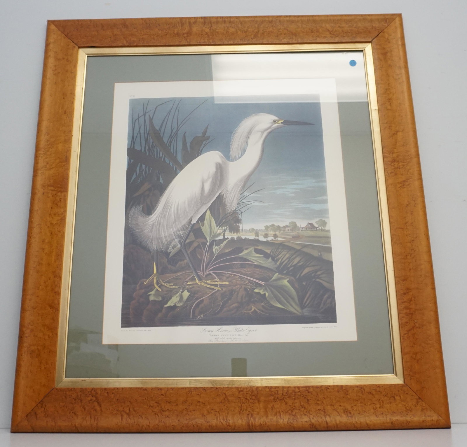 FRAMED AUDUBON SNOWY HERON: John James Audubon (1785-1851), "Snowy Heron or White Egret" No.49, Plate CCXLIL. Double elephant folio, printed by the Abbeville Press, New York City, in conjunction with The National Audubon Society
