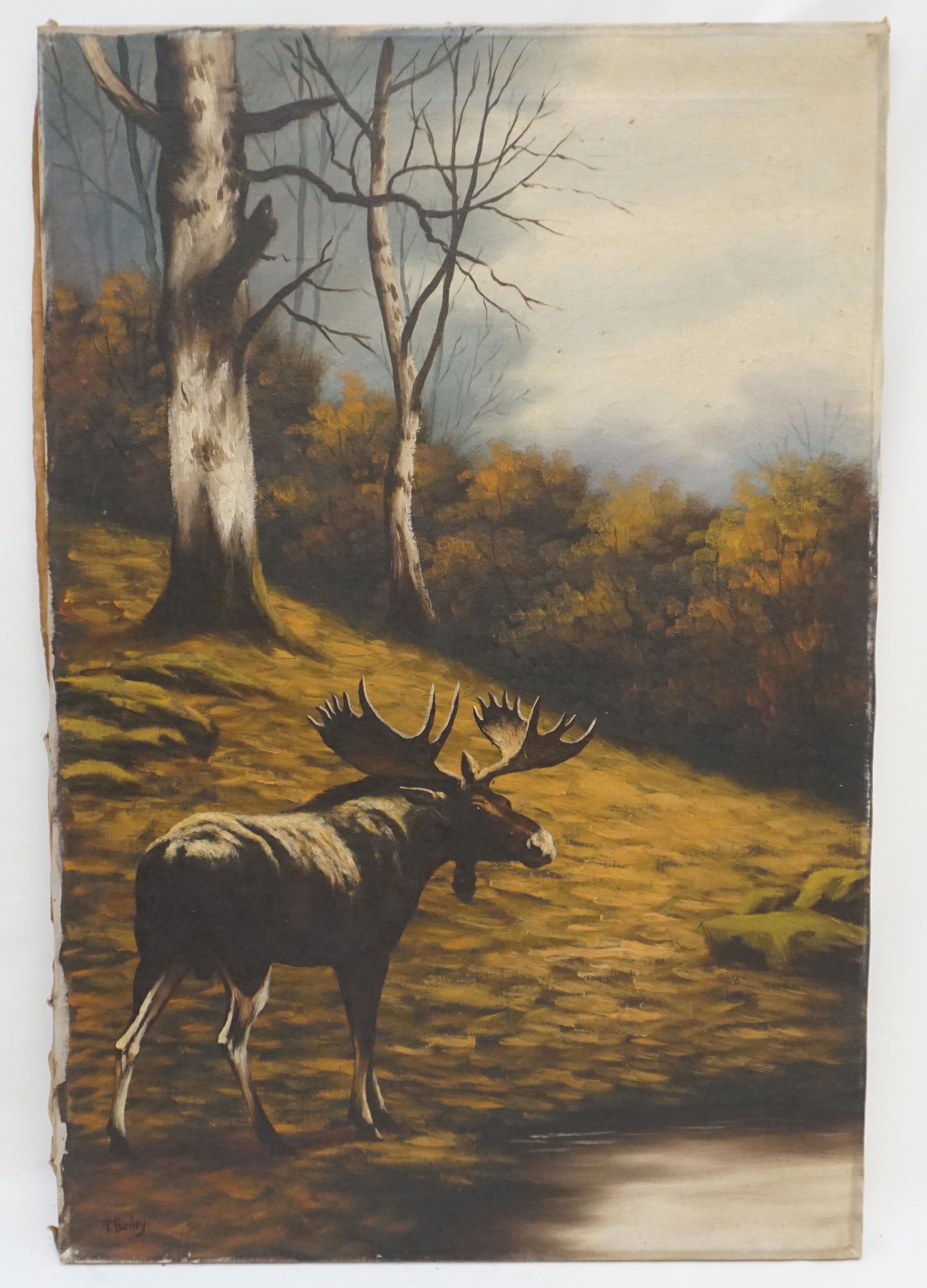 T. BAILEY MOOSE OIL ON CANVAS (1 of 6)