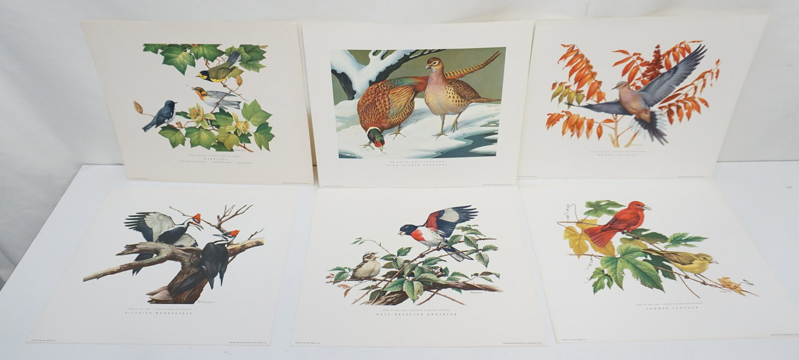 6 VINTAGE ROGER TORY PETERSON LITHOS: 6 Vintage Roger Tory Peterson (1908-1996) Vintage 1958 Lithograph Print from Birds of Our Land, printed by John Morrell & Co. All unframed, each measures 12 inches wide by 10-1/2 inches high. Roger To