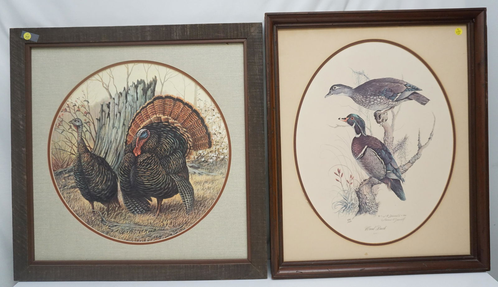 2PC FRAMED JAMES R DARNELL WILD TURKEY & WOOD DUCK: Framed Vintage James R. Darnell (1938-2011) Framed Wild Turkey & Wood Duck Print. In wood frame with double matting, no glass. Wild Turkey In frame measure 26"x26"x1". Wood duck-In frame measure 22"x2