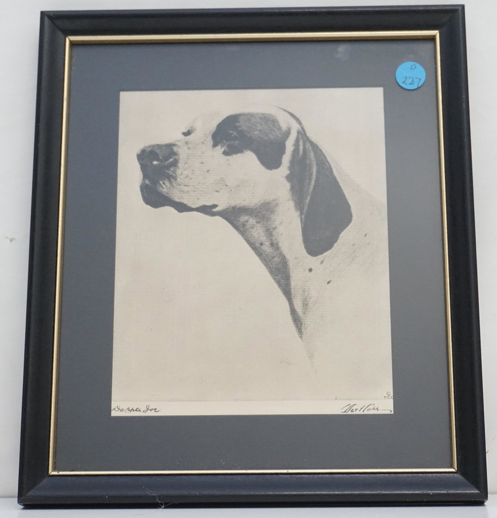 1931 DAPPLE JOE BERT COBB PRINT: Very Scarce Bert Cobb Print of Champion Pointer "Dapple Joe". Print of a Dry Point Etching by the great Art Deco canine artist Bert Cobb. Cobb was the artist for the wealthy dog owners of the time. It