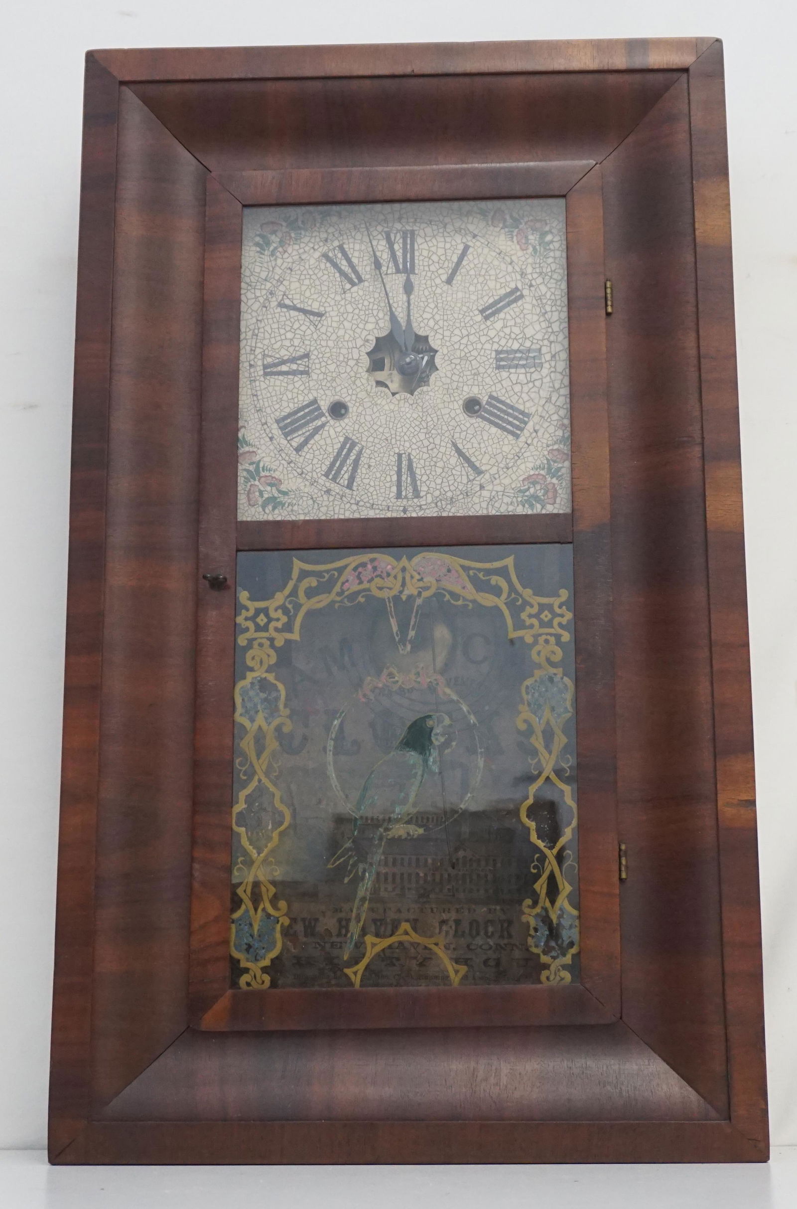 NEW HAVEN 30 HR OGEE CLOCK PARROT: Antique American New Haven 30 Hour Wall Clock. Strikes every hour and half hour. Circa 1890. Weight Driven. Pendulum and key included. Reverse painted Parrot door, some loss to paint. Flame mahogany c