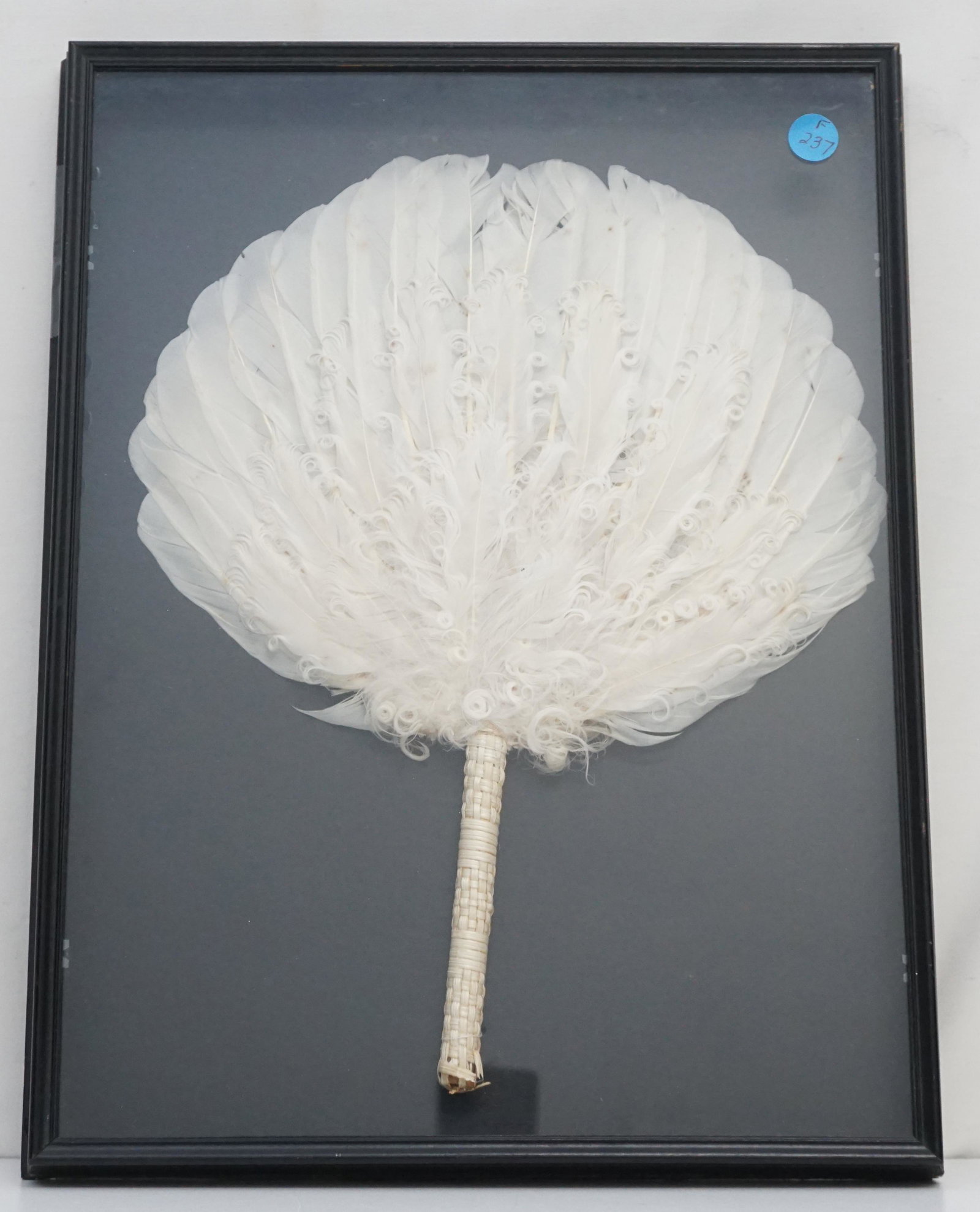 SHADOW BOX FRAMED OSTRICH FEATHER FAN: Antique 19th c. White Ostrich Feather Fan in Shadow Box Frame. Fan 13 1/2"x10". Frame 12 1/2"x16 1/2"x1 1/2". Weight 2 pds 8 oz. . * NO IN HOUSE SHIPPING. PROVENANCE: A Private Charleston SC Estate. *