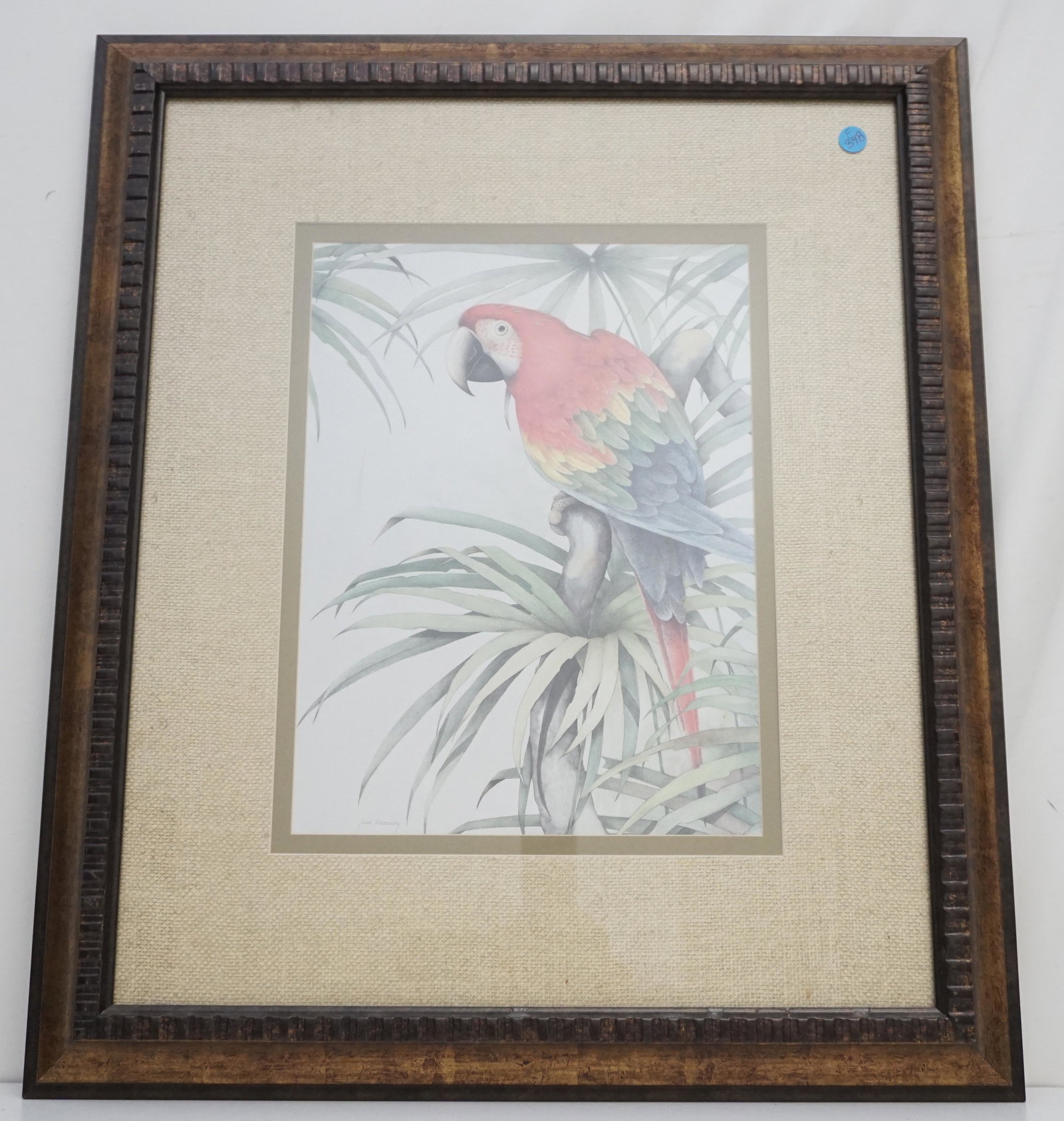 GREEN WINGED MACAW by JEAN CASSADY: Green winged Macaw Print by award winning wildlife artist Jean Cassady (1934-2003). Gallery framed and matted. In frame measures 24"x28"x1 3/4". Weight 10 pds. PROVENANCE: A Private Charleston SC Esta