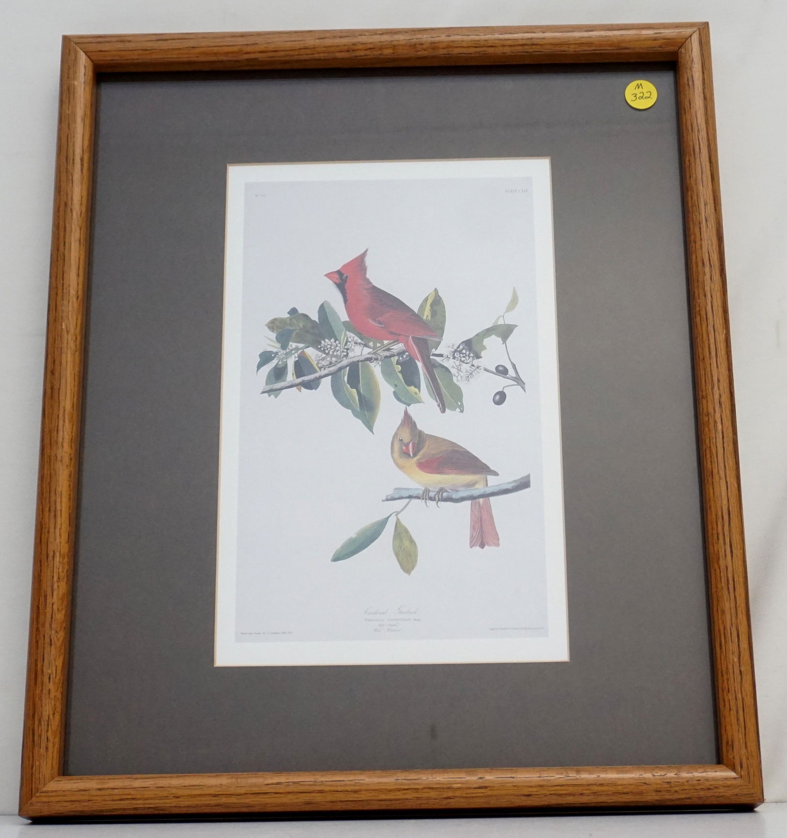 FRAMED AUDUBON CARDINAL GROSBEAK PRINT (1 of 6)