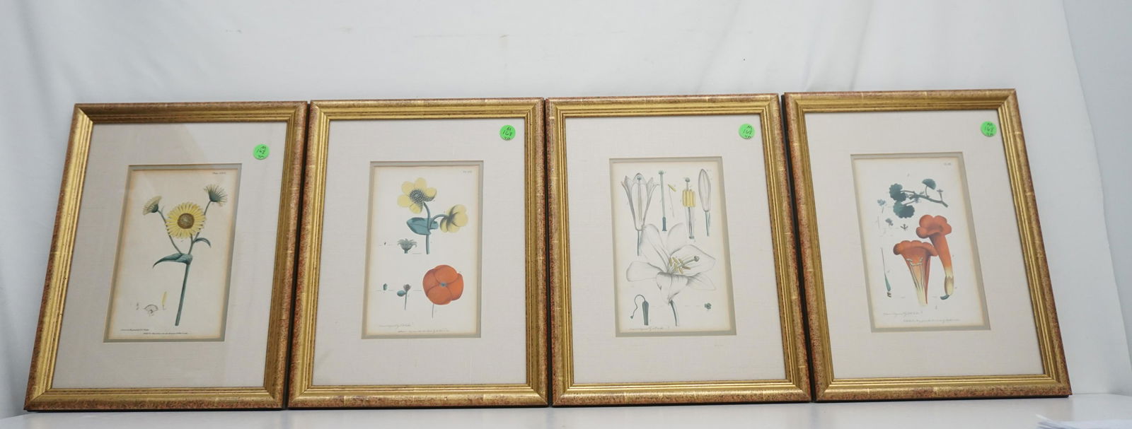 4 18th c BOTANICAL HAND COLORED COPPER PLATE ENGRAVINGS (1 of 6)