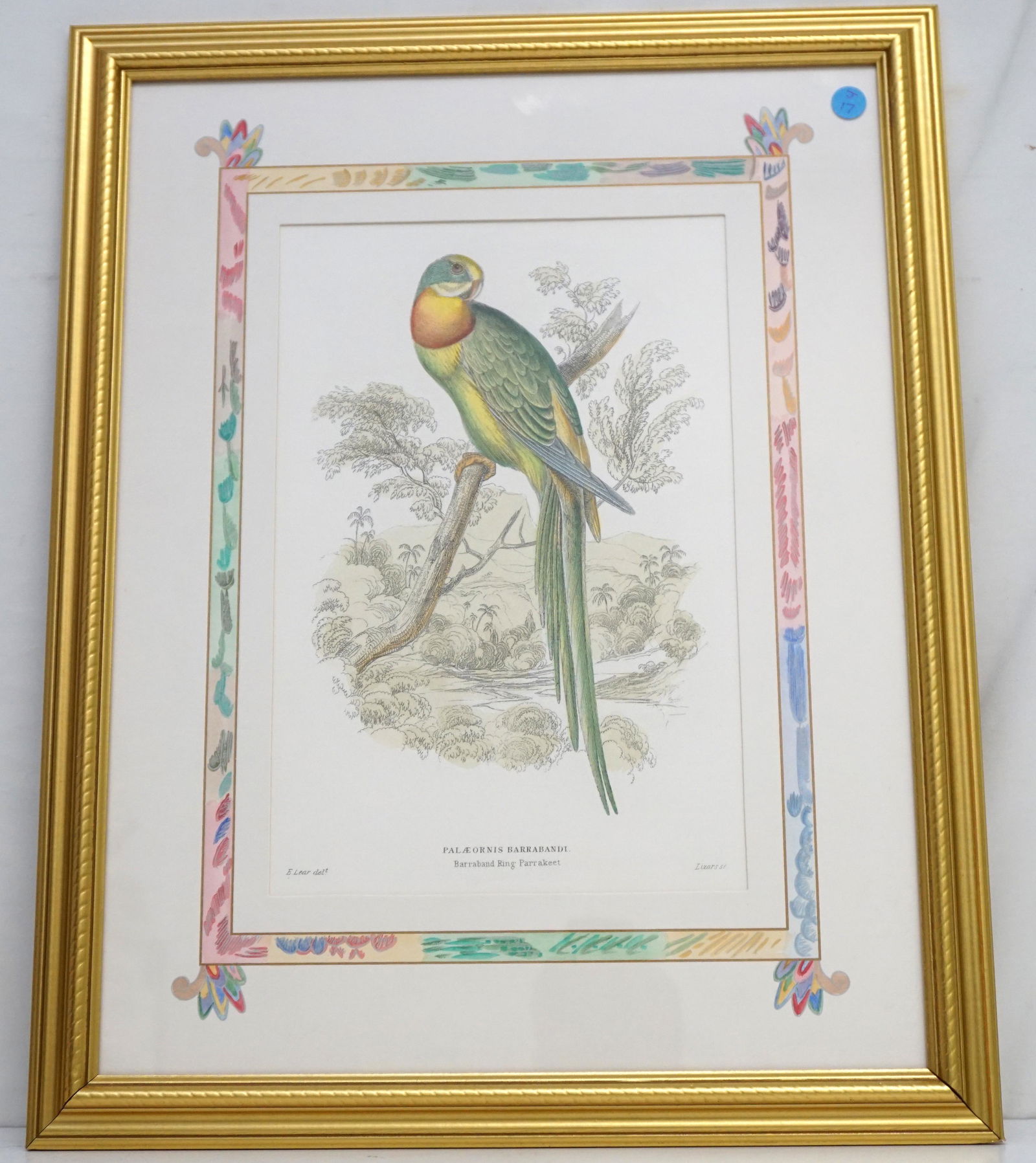 HAND COLORED ENGRAVING PARAKEET - LEAR (1 of 6)