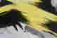 item-111433891=4