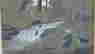 item-111433922=3