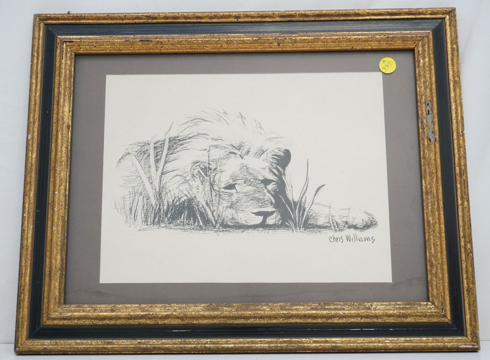 CHRIS WILLIAMS LION PRINT (1 of 5)