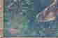 item-114211843=3