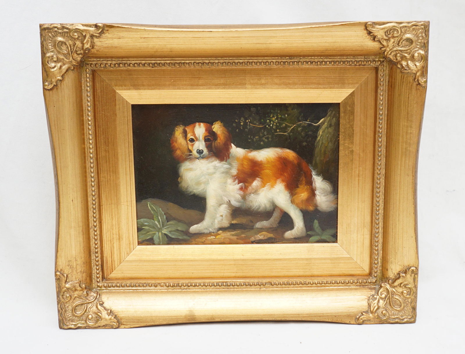 CAVALIER KING CHARLES SPANIEL OIL PAINTING (1 of 6)