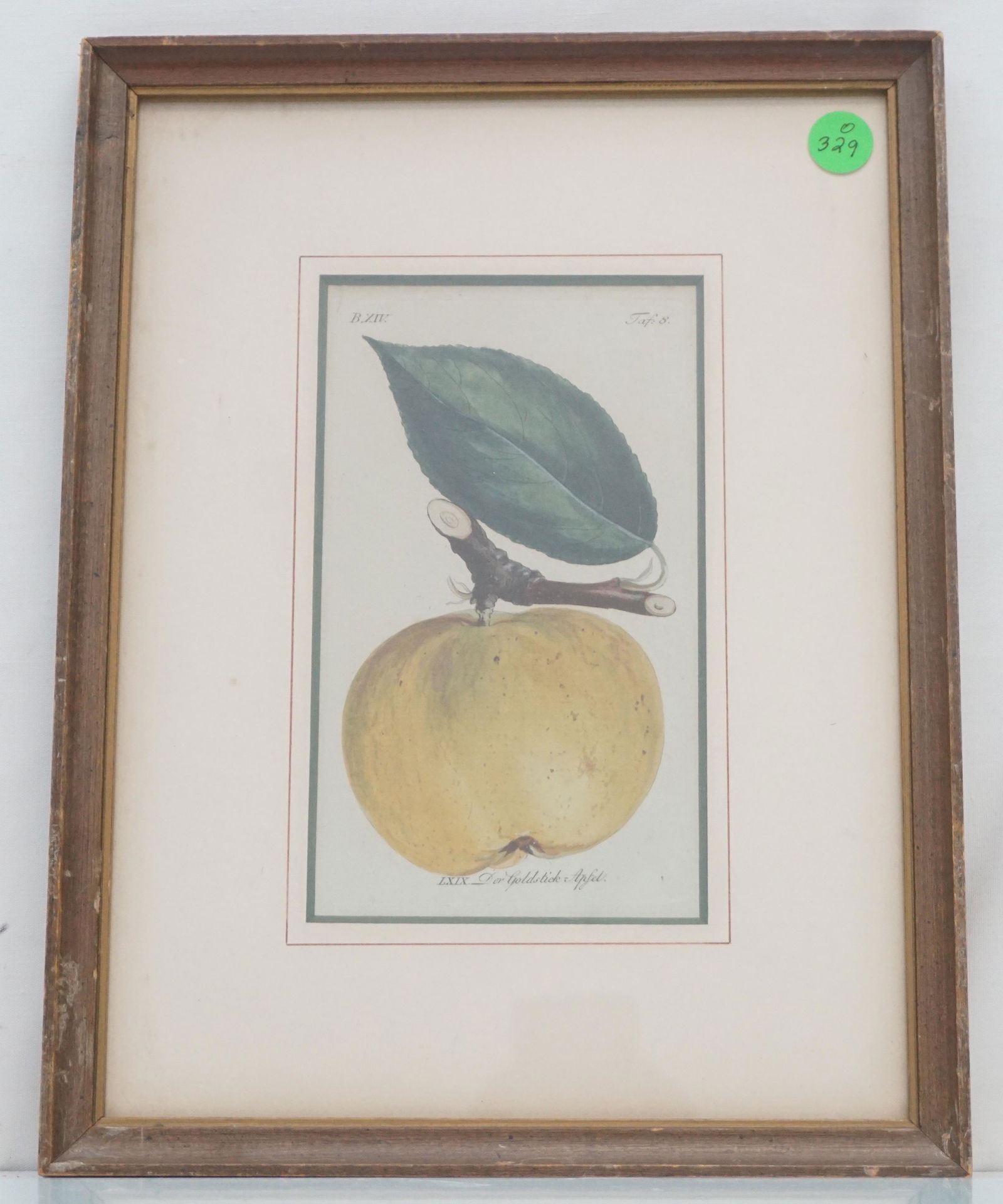 ANTIQUE BOTANICAL APPLE PRINT (1 of 4)
