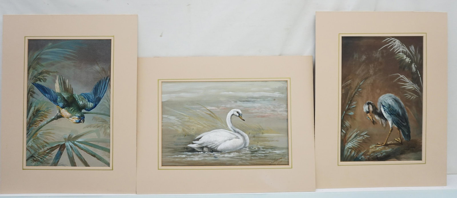 3 SIMPSON GOUACHE WATERCOLOR BIRD STUDIES (1 of 8)