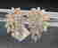 item-117156785=1