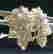item-117156785=3