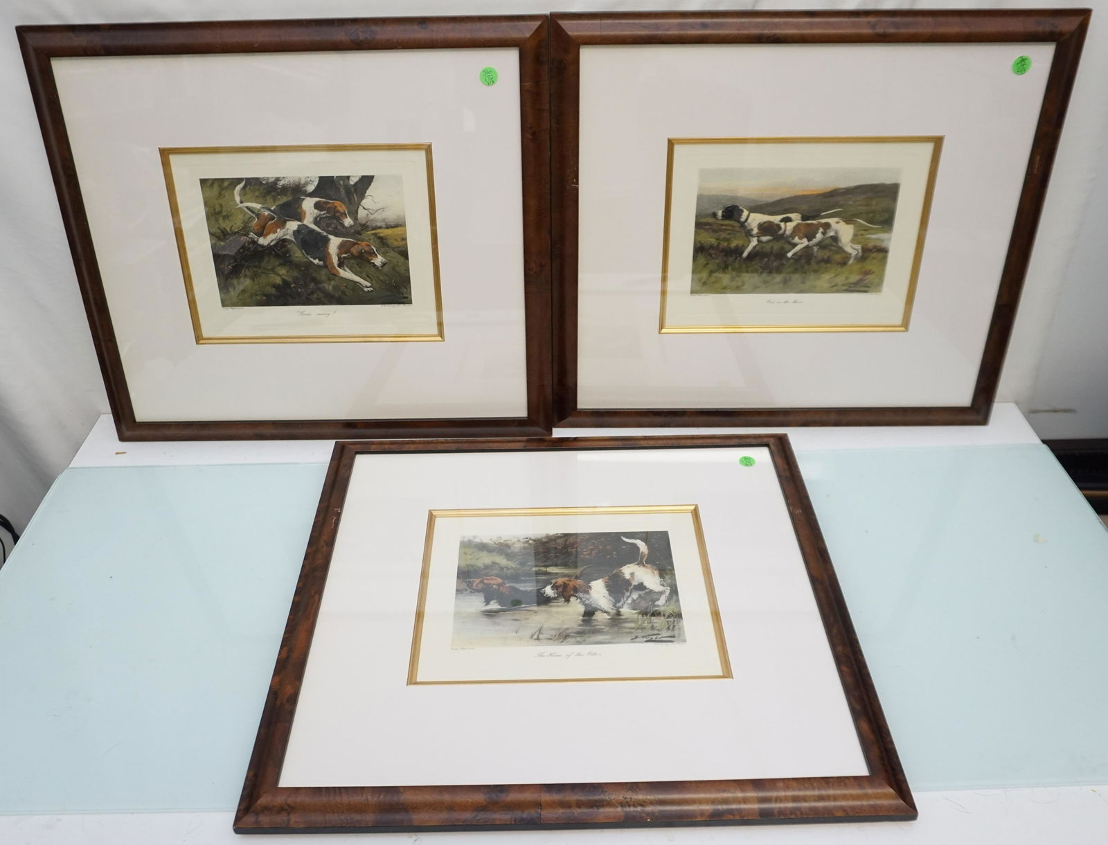 3PC HAND COLORED ENGRAVINGS FOX HOUNDS, OTTER HOUNDS, (1 of 10)