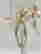 item-121340479=2