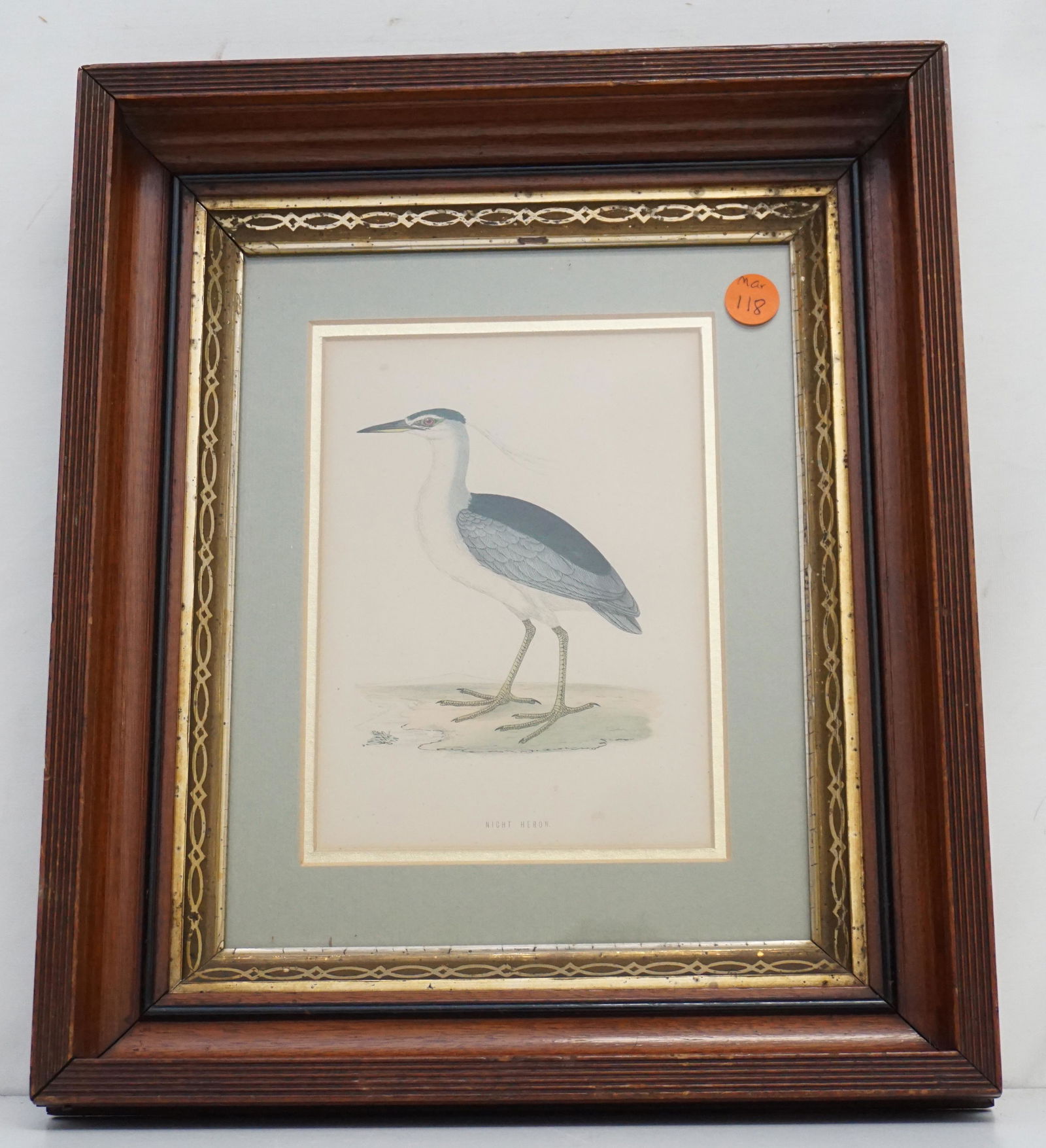 ANTIQUE HAND COLORED NIGHT HERON ENGRAVING (1 of 4)