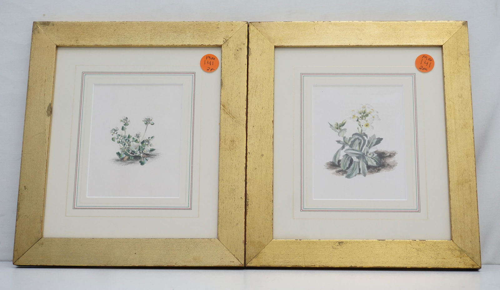 PAIR ANTIQUE FRAMED BOTANICAL PRINTS (1 of 4)