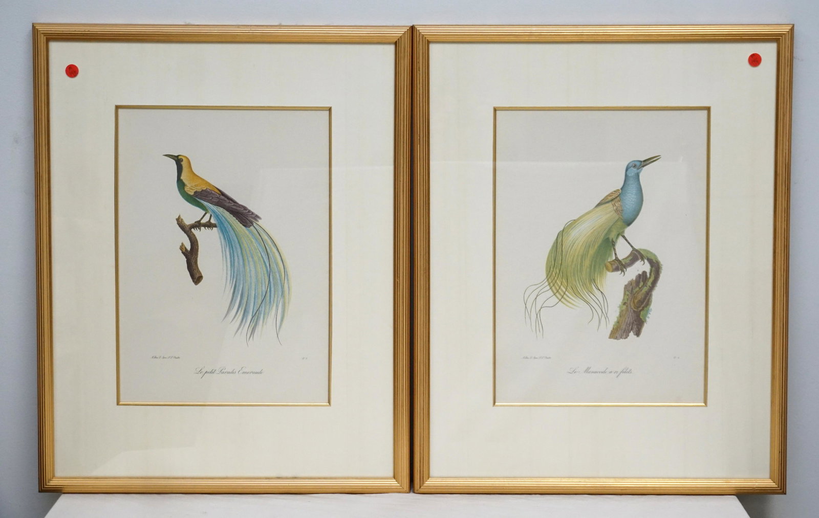 2pc LARGE JACQUES BARRABAND HAND COLORED (1 of 7)