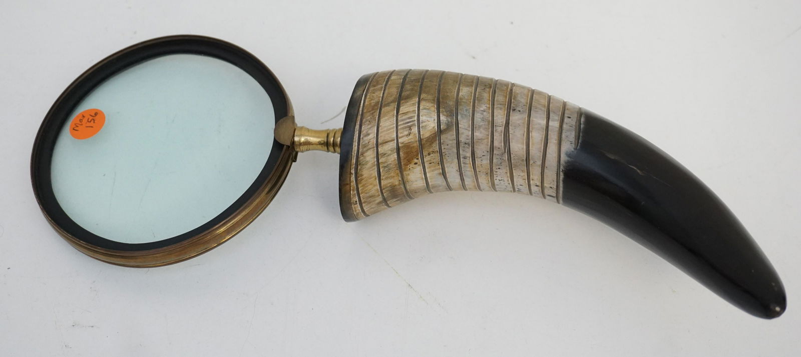 LARGE MAGNIFYING GLASS MOUNTED HORN (1 of 4)