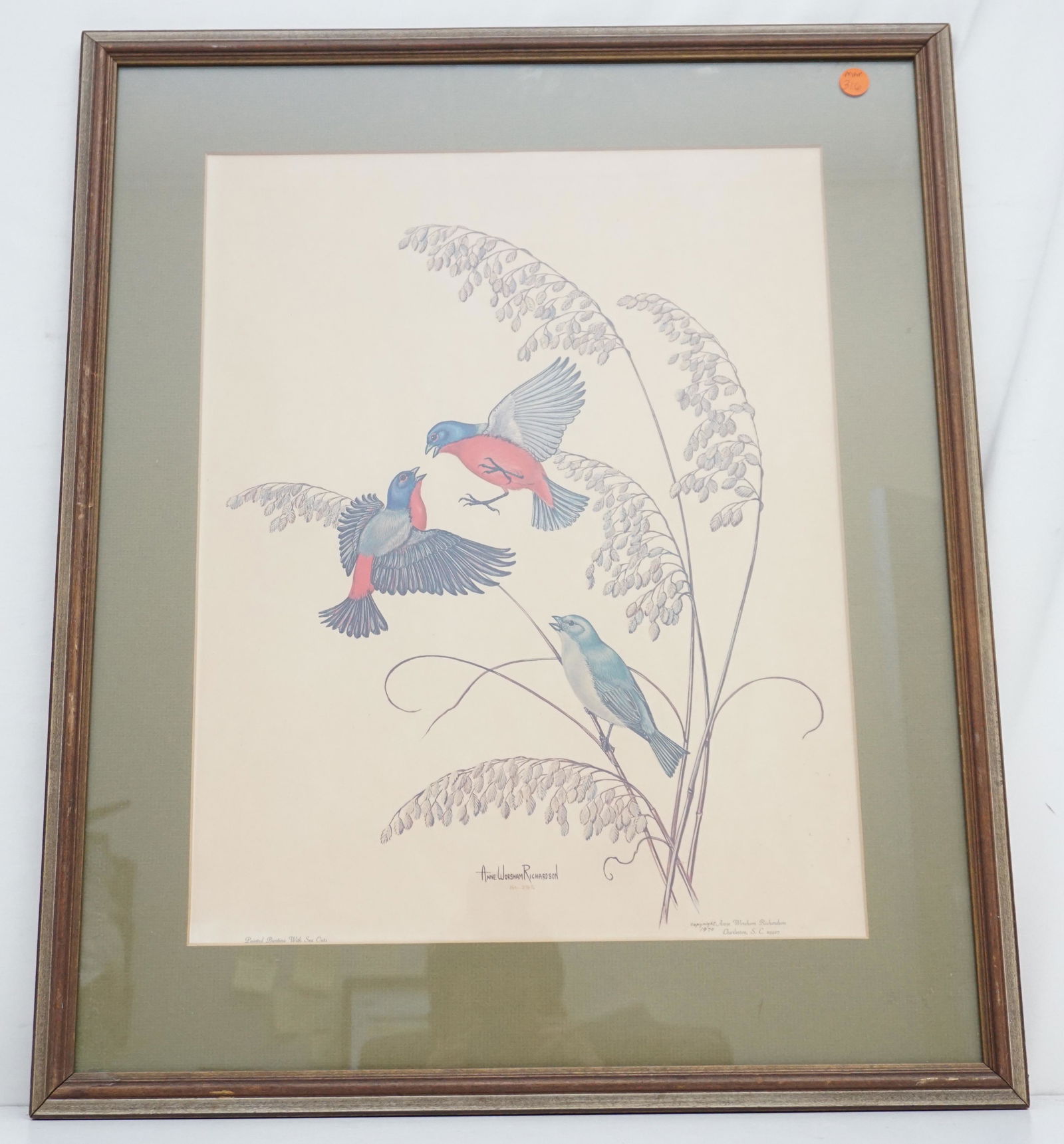 PAINTED BUNTING W SEA OATS - RICHARDSON (1 of 4)