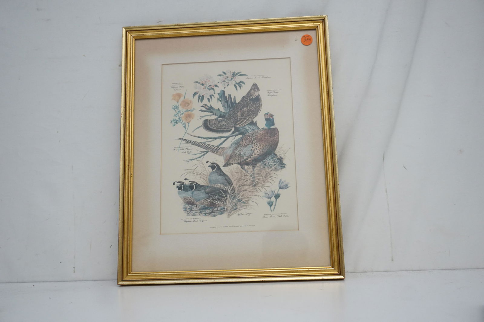 Arthur Singer Bird & Botanical Print