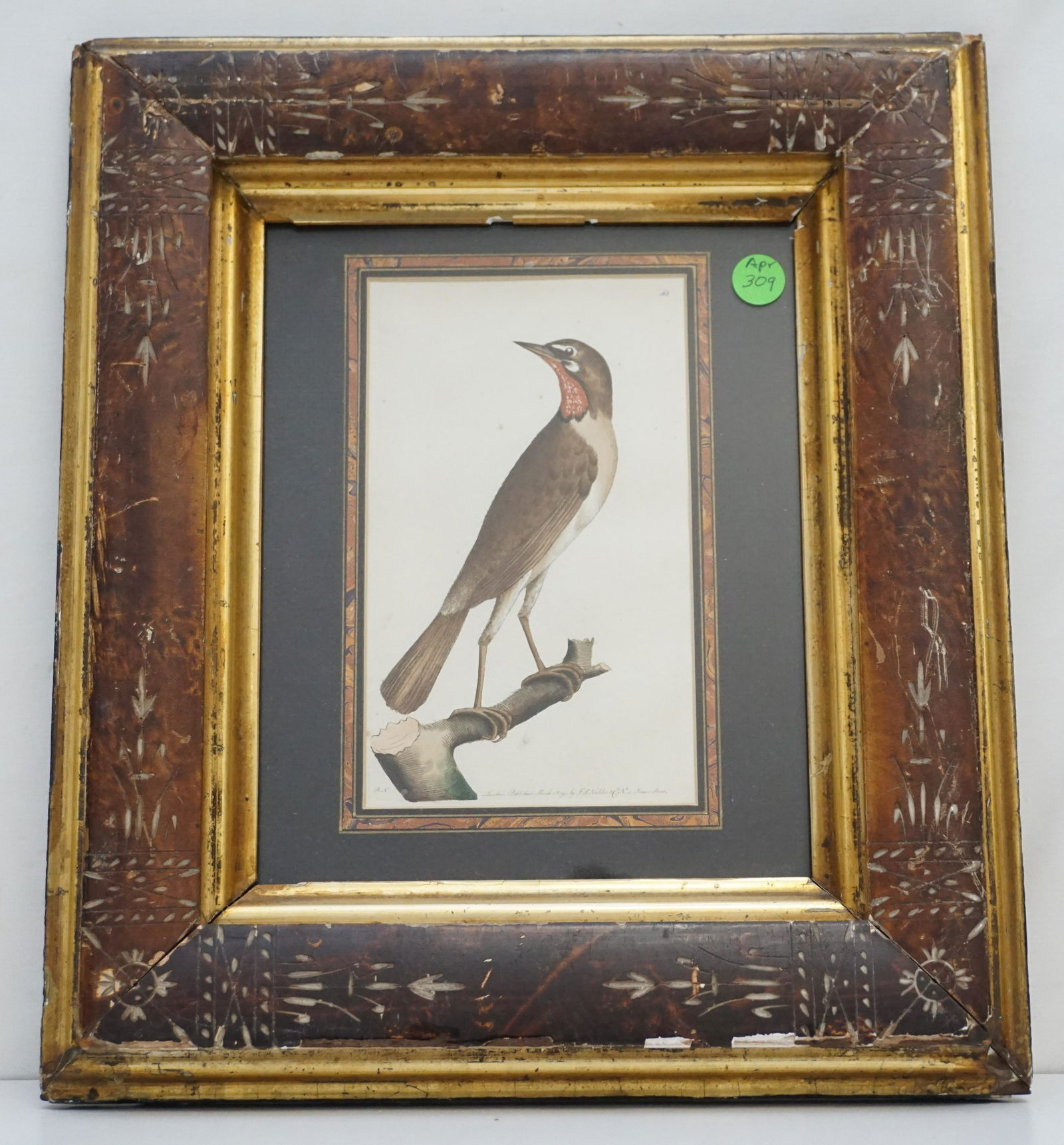 ANTIQUE RUBY THROATED WARBLER HAND COLORED ENGRAVING (1 of 3)