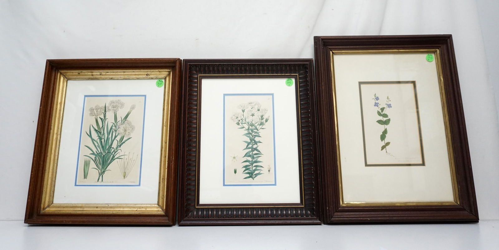 3 FRAMED ANTIQUE BOTANICAL PRINTS (1 of 5)