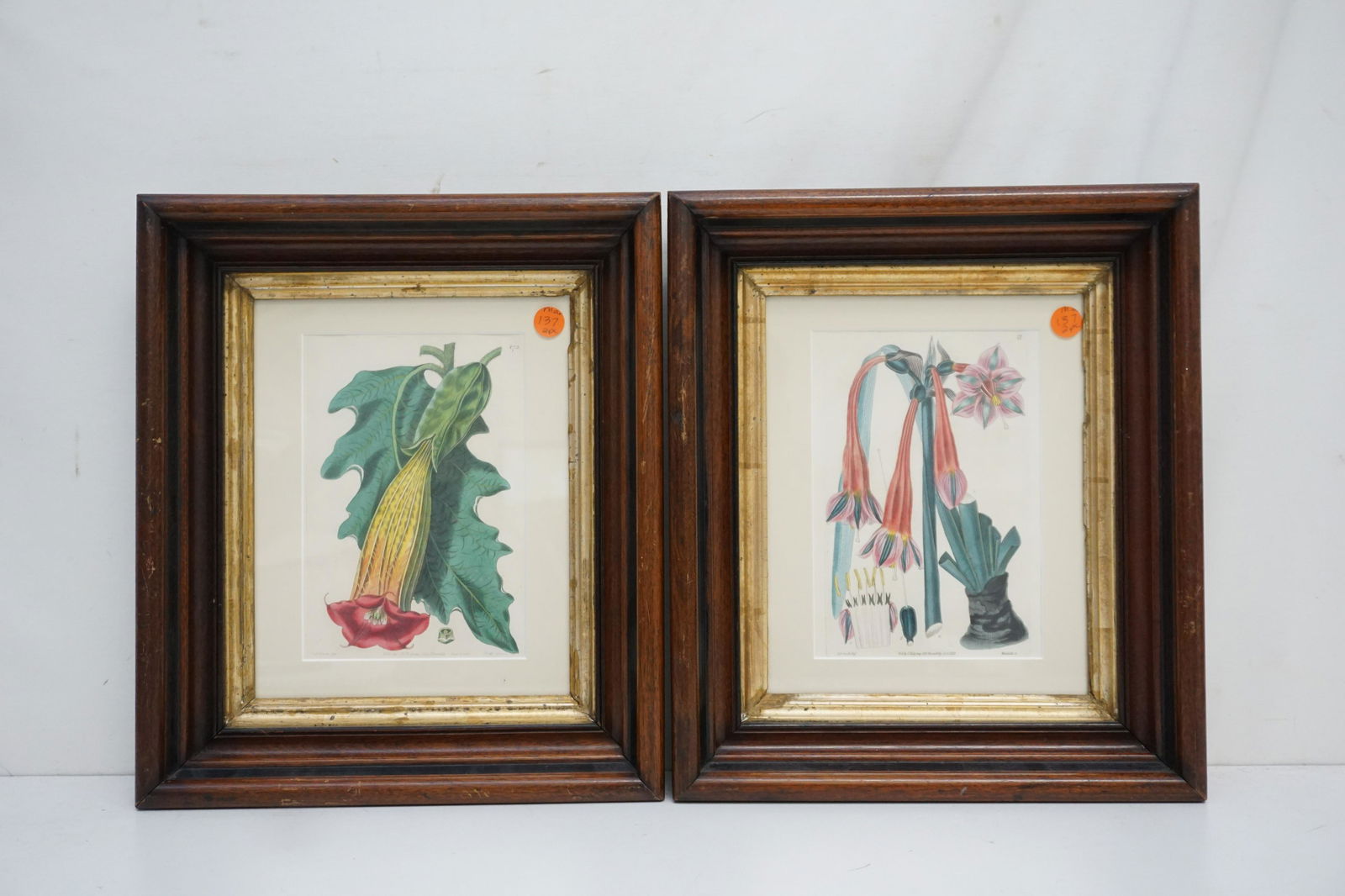 PAIR ANTIQUE BRITISH FLOWER GARDEN BOTANICAL PRINTS (1 of 6)