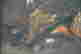 item-133405505=3