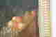 item-133405505=7