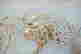 item-133405562=5