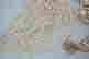 item-133405562=6